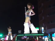 타이베이 폴 댄싱 쇼